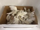 Lot Of 32 Vintage Spun Cotton Feather Dove Birds White Clip On Christmas Decor