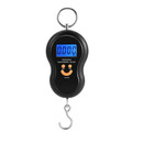 Portable Electronic Fish Scale Lcd Display Digital Hanging Travel Luggage 110lb