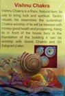 Energized Vishnu Chakra Shell Conch Yantra Chakra Laxmi Pooja Hindu Religious