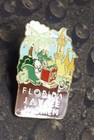 Florida Jaycees Women Lady Gator Disney Castle Vintage Pin Badge