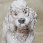 Lladro poodle   Standing Dog Porcelain Figurine 6  White gray Wool Pink Colar