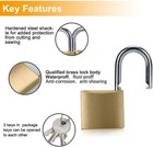 Solid Brass Padlock With Key  Pad Lock 1-1 2 In  Wide Lock Body  Locker  2 Pack 