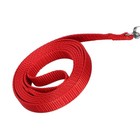 Bird Harness  Leash Adjustable Birds Nylon Antibite Rope