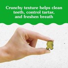 Greenies Savory Salmon Flavor Dental Cat Treats