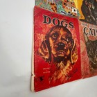 Vintage Walter Foster How To Draw Animals Dogs Cats Art Book Lot 4 Ed Nofziger