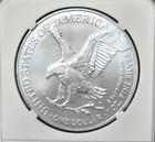 2025 1 0 Z American Eagle  bu 