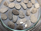 25 Michigan Petoskey Stones   Unpolished   Natural    Fossil Coral   Al24   1lb