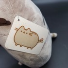 New W  Tags Hot Cocoa Pusheen In Santa Hat Hot Chocolate Rare Discontinued 9  