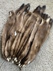 Xl Buck Wild Mink Pelt Fur Hide Tanned Log Cabin Decor Man Cave Wild Country Fur