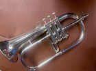 Yamaha Yfh-731 Professional Silver Plated Flugelhorn