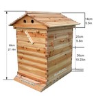 Wooden Automatic Beehive Kit With 7pcs Auto Beekeeping Frames   Hive Stand