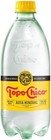 Topo Chico Shipping Sparkling Mineral Water  600 Ml  pack Of 12 