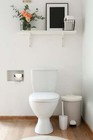 Fittes Flush Anywhere Niche  luxe 