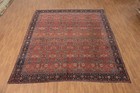 Antique Pre-1900 Vegetable Dye Traditional Large Rug 11x13 Ft Hand-knotted Wool