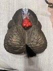 Flextone Thunder Creeper Strutter Decoy Turkey Decoy