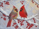 Winter Joy - Cardinal - Chart Counted Cross Stitch Patterns Needlework Dmc Color