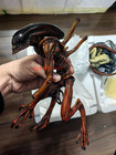 Sideshow Alien Statue Resin Figure Painted Model Collectible Limited Box Gift