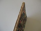 Vtg 1929 Ss Belgenland Red Star Line Ship World Cruise Book Strange Places Faces