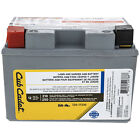 Cub Cadet 725p17335 Battery 210cca 11ahr Ultima Zt1 Zt2 Zts1 Zts2 Ztx4 Ztx5 Ztx6