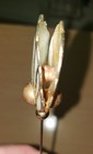 Antique Vintage Hat Stick Pin Mother Of Pearl Dual Shells Gold Etch 5 5  Shaft
