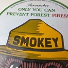 Vintage Forest Service Gas Pump Sign - Smokey The Bear Porcelain Sign
