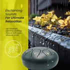 Steel Tongue Rain Drum