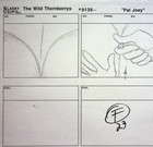 The Wild Thornberrys 1998 John Fountain Signed Hand Drawn Storyboard Page  iz