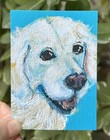Aceo Original Acrylic Custom Pet Portraits By Gale 2 5x3 5  Ebay  Galesummer