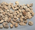 100 Dug Civil War Fired Bullets From Kennesaw Mountain Battlefield