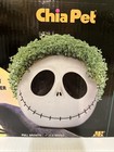Chia Pet Handmade Decorative Planter With Watering Can - Jack Skellington