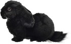 Hansa Bh8142 Holland Lop Realistic Plush Doll Black Rabbit Fluffy Toy 13in Japan