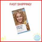 Clairol Nice n Easy Permanent Hair Dye  8g Medium Golden Blonde Hair Color  Pack
