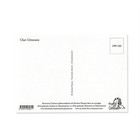 French Cat Postcard  chat Gemeaux  Zodiac  Gemini