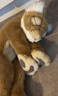 Hansa Creations Sleeping Baby Lion  Plush Realistic Stuffed Animal Toy 12 Inch
