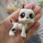 Lps Petshop - Authentic Littlest Pet Shop - Hasbro Lps  