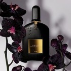 Tom Ford Black Orchid 3 4oz Edp Perfume New With Original Box Sealed