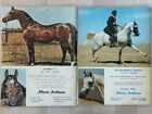 Lot Of 2 Arabian Horse Show Programs - Us National Championships 1971   1972