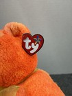 Ty Buddy Buddies Tangerine The Bright Orange Bear Plush 12  Stuffed Animal