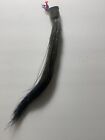 9   -11    Eastern Wild Turkey  Beard