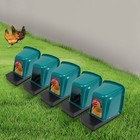 5pcs Nesting Boxes For Chicken Coops chicken Nesting Box For Laying Eggs Sale