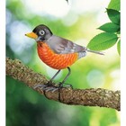 Robin Bird Nwt Standing Metal Decor Garden Indoor Outdoor Attach To Tree
