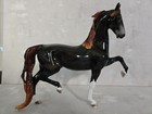 2024 Fcm Saddlebred Stallion Dah Glossy Dapple Mulberry Grey Stone Horse