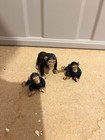 Schleich Chimpanzee Family Figure Lot Adult   2 Baby Chimps Safari Animals