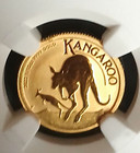 2022p Australia Gold Kangaroo - 1 10 Oz -g 15 Ms-67