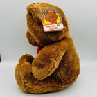 Dakin Fun Farm Honey Jo Teddy Bear Brown Plush Red Bow Tie 1986 Vintage W tags