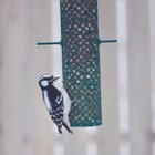 C s Wire Feeder  For Suet Nuggets  Peanuts  Or Sunflower  24 Ounces