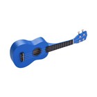 21 Inch Colored Acoustic Soprano Ukulele Basswood Uke Portable Musical N3b2