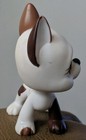 Authentic Littlest Pet Shop Lps White Brown Great Dane Dog  750 Teardrop Eyes 