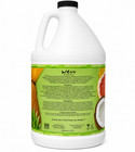 Wen Cleansing Conditioner 128 Oz  3 7 L Summer Tropical Paradise New Sealed