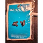 Disney D23 Expo 2011 Lion King Simba Pumbaa Timon Logo Pin Le 500 Jumbo New